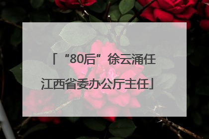 “80后”徐云涌任江西省委办公厅主任