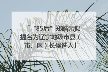 “85后”郑皓元拟提名为辽宁地级市县（市、区）长候选人