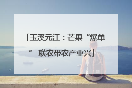 玉溪元江：芒果“爆单” 联农带农产业兴