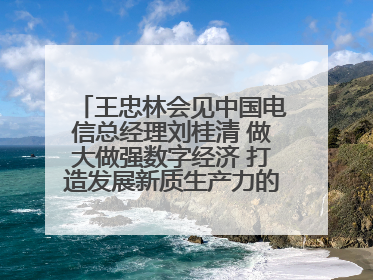 王忠林会见中国电信总经理刘桂清 做大做强数字经济 打造发展新质生产力的强劲引擎