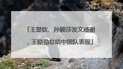 王楚钦、孙颖莎发文感谢，王励勤总结中国队表现