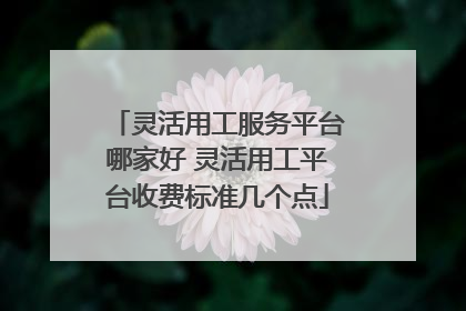 灵活用工服务平台哪家好 灵活用工平台收费标准几个点