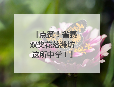 点赞！省赛双奖花落潍坊这所中学！