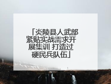 炎陵县人武部紧贴实战需求开展集训 打造过硬民兵队伍