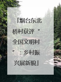 烟台东北桥村获评“全国文明村”：乡村振兴展新貌