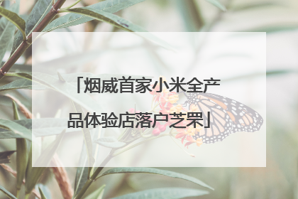 烟威首家小米全产品体验店落户芝罘