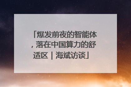 爆发前夜的智能体，落在中国算力的舒适区｜海斌访谈