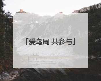 爱鸟周 共参与