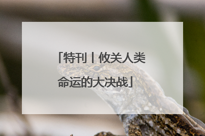 特刊丨攸关人类命运的大决战