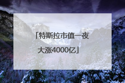 特斯拉市值一夜大涨4000亿