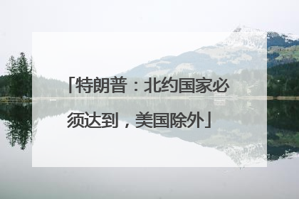 特朗普：北约国家必须达到，美国除外