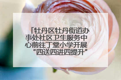 牡丹区牡丹街道办事处社区卫生服务中心前往丁堂小学开展“四送四进四提升”及无烟日宣传活动