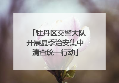 牡丹区交警大队开展夏季治安集中清查统一行动