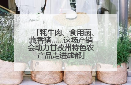 牦牛肉、食用菌、藏香猪……这场产销会助力甘孜州特色农产品走进成都