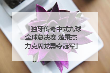 独牙传奇中式九球全球总决赛 楚秉杰力克周龙勇夺冠军