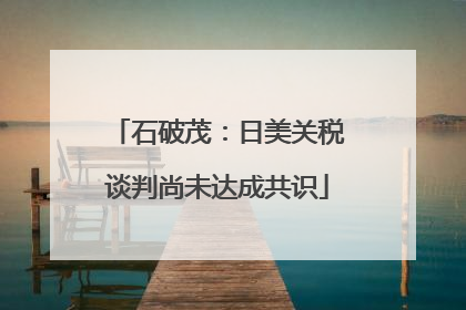 石破茂：日美关税谈判尚未达成共识