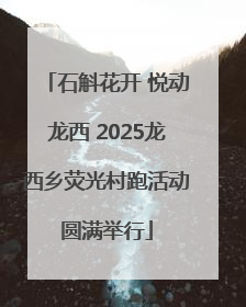 石斛花开 悦动龙西 2025龙西乡荧光村跑活动圆满举行