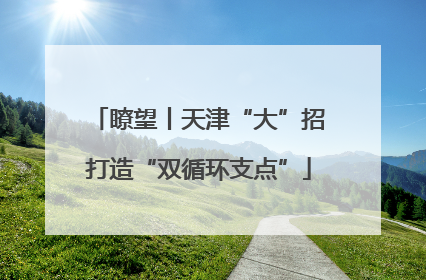 瞭望丨天津“大”招打造“双循环支点”