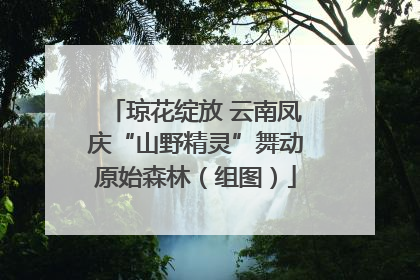 琼花绽放 云南凤庆“山野精灵”舞动原始森林（组图）