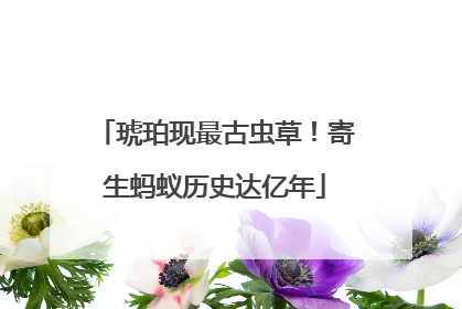 琥珀现最古虫草！寄生蚂蚁历史达亿年