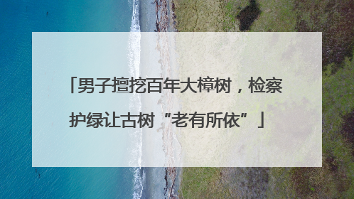 男子擅挖百年大樟树，检察护绿让古树“老有所依”
