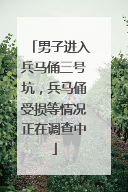 男子进入兵马俑三号坑，兵马俑受损等情况正在调查中