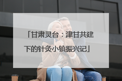 甘肃灵台：津甘共建下的针灸小镇振兴记