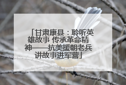 甘肃康县：聆听英雄故事 传承革命精神——抗美援朝老兵讲故事进军营