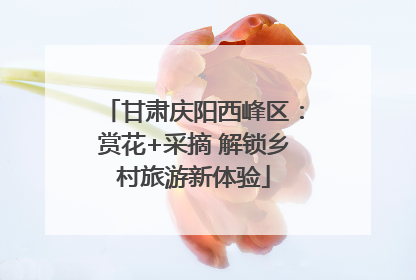 甘肃庆阳西峰区：赏花+采摘 解锁乡村旅游新体验