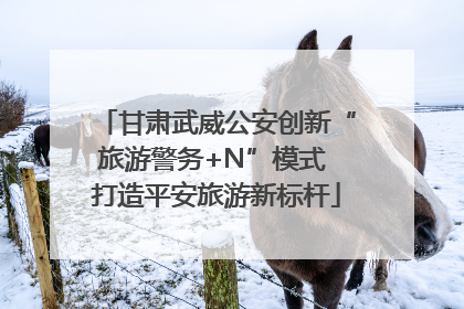 甘肃武威公安创新“旅游警务+N”模式 打造平安旅游新标杆