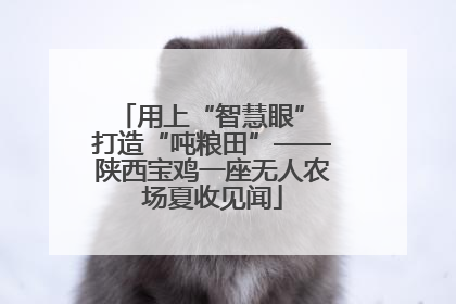 用上“智慧眼” 打造“吨粮田”——陕西宝鸡一座无人农场夏收见闻