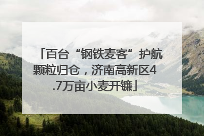百台“钢铁麦客”护航颗粒归仓，济南高新区4.7万亩小麦开镰