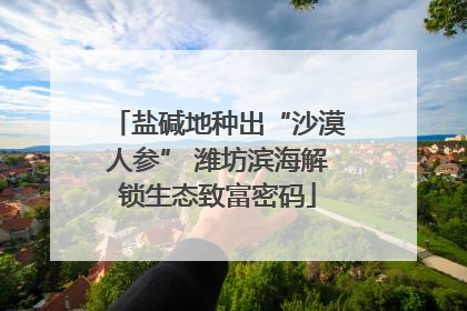 盐碱地种出“沙漠人参” 潍坊滨海解锁生态致富密码