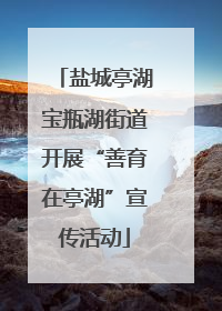 盐城亭湖宝瓶湖街道开展“善育在亭湖”宣传活动