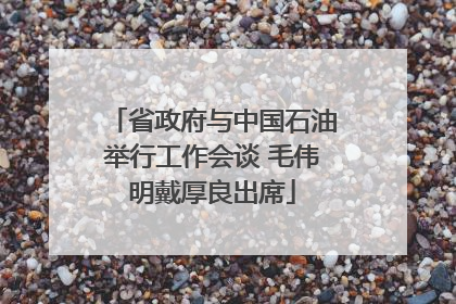 省政府与中国石油举行工作会谈 毛伟明戴厚良出席