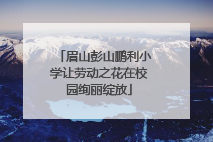 眉山彭山鹏利小学让劳动之花在校园绚丽绽放