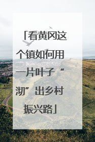 看黄冈这个镇如何用一片叶子“沏”出乡村振兴路