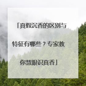 真假沉香的区别与特征有哪些？专家教你慧眼识真香