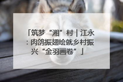 筑梦“湘”村｜江永：肉鸽振翅绘就乡村振兴“金羽画卷”