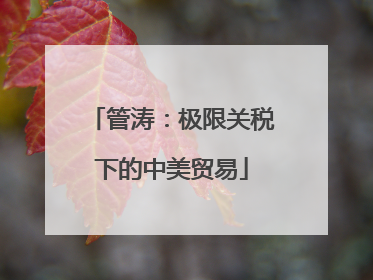 管涛：极限关税下的中美贸易
