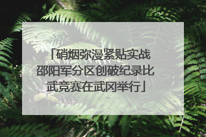 硝烟弥漫紧贴实战 邵阳军分区创破纪录比武竞赛在武冈举行