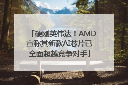 硬刚英伟达！AMD宣称其新款AI芯片已全面超越竞争对手