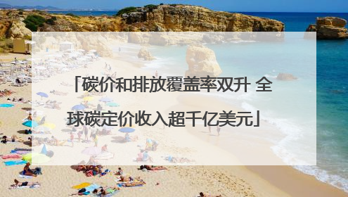 碳价和排放覆盖率双升 全球碳定价收入超千亿美元