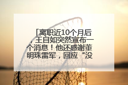 离职近10个月后，王自如突然宣布一个消息！他还感谢董明珠雷军，回应“没看过格力工资条”：真的不那么重要！