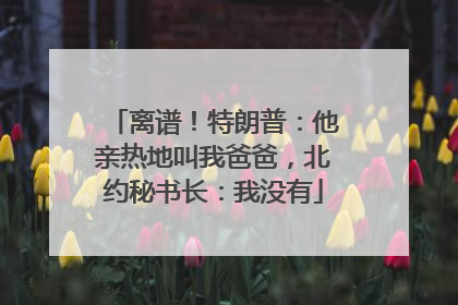 离谱！特朗普：他亲热地叫我爸爸，北约秘书长：我没有