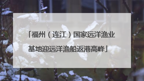 福州（连江）国家远洋渔业基地迎远洋渔船返港高峰