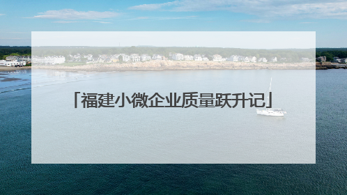 福建小微企业质量跃升记
