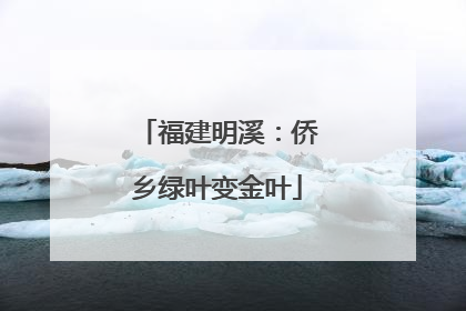 福建明溪：侨乡绿叶变金叶
