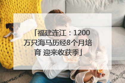 福建连江：1200万只海马历经8个月培育 迎来收获季