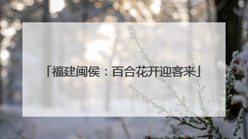 福建闽侯：百合花开迎客来
